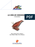 Codornices PDF