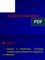 Ascaris lumbricoides: classificação, morfologia e tratamento