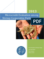 Microcredit Final Report