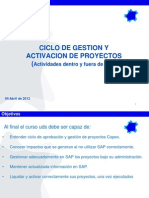 120404 Ciclo Proyecto y Gestion en SAP