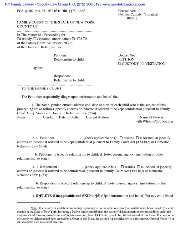 NY Custody Petition PDF Contact (Law) Family Court