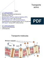 Fisio Celular 2