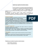 Contaminacion Por Quema de Caña