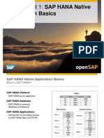 OpenSAP HANA1 Week 01 Developing Applications For SAP HANA Presentation
