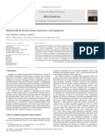 Mitochondrial ﬁssion fusion dynamics and apoptosis.pdf