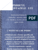 psihicul