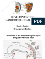 Embriologi Gastro