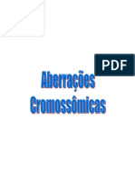 Aberracoes-cromossomicas
