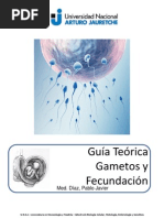 2- Gametos y Fecundación