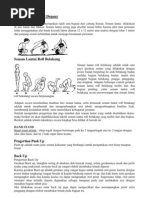 Download Senam Lantai by Sampoerna Yusuf Ant SN146512812 doc pdf