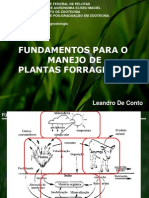 Fundamentos para o Manejo de Plantas Forrageiras