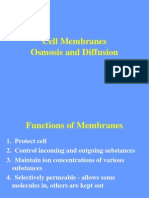 Cell Membranes Osmosis and Diffusion