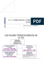 Terapia Cognitivo Conductual Completo