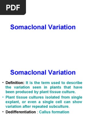 Somaclonal Variation Ploidy Plant Breeding