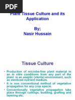 Download Tissue Culture by Nasir Hussain Faraz SN14654500 doc pdf