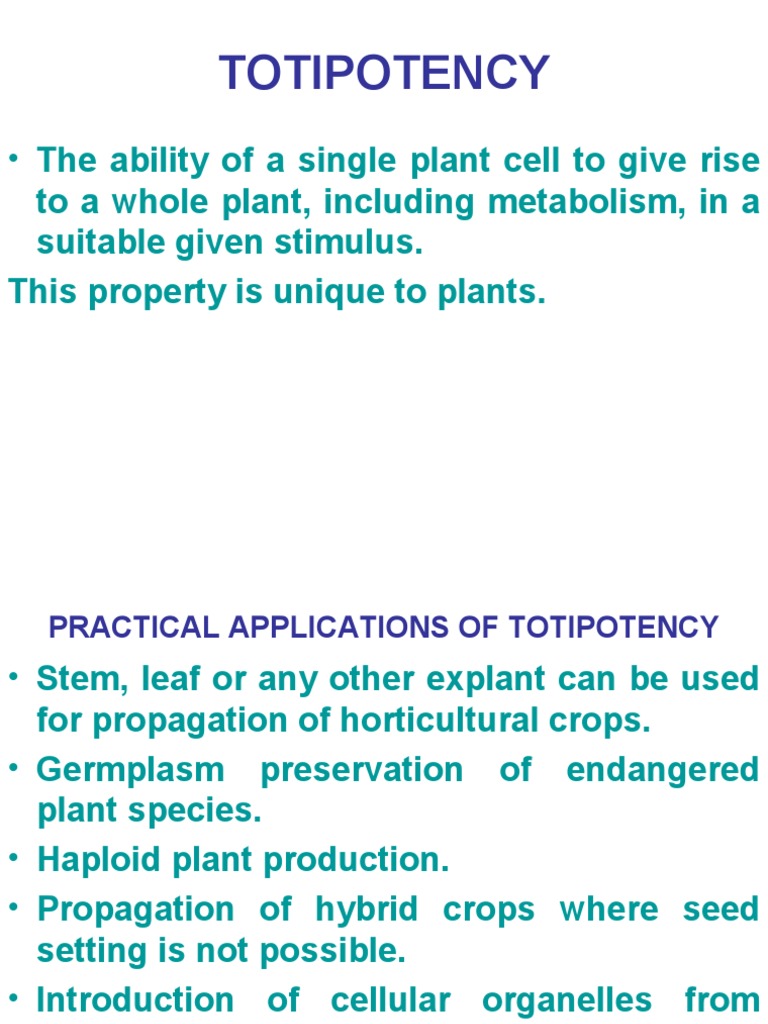 Understanding Totipotency in Plants | PDF | Cell Biology | Horticulture ...