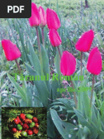 Download Taranul Roman Aprilie 2009 by Taranul Roman SN14655519 doc pdf