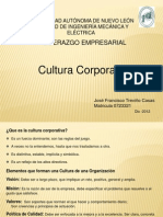 3 Cultura Corportativa