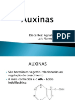 Auxinas POWER POINT PDF
