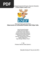 Reporte psicología observación El venadillo