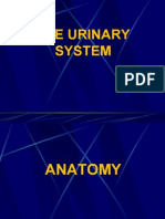 GUT Part 1- Physio Assessment, Labs(2)