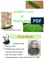 Mendels Law of Segregation