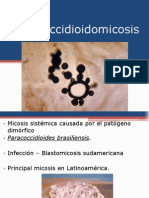 Paracoccidioidomicosis 121227192759 Phpapp01