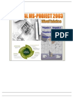Manual MS-Project 2003 - Nivel Basico - Parte III
