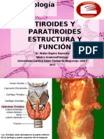 Tiroides Estructura y Funcion Modificado