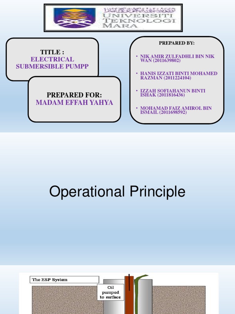 Electric Submersible Pump Pdf