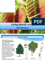 Biology Yr 9 Plants 2013