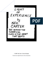 Light of Experience, by Neil Carter