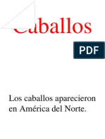 Caballos