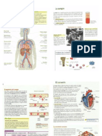 Funcion de Circulacion