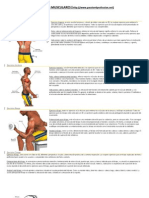 Ejercicios Musculares PDF