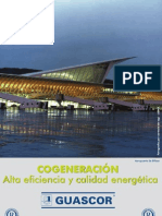 Cogeneracion PDF