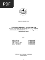 Download Laporan Akhir Pkm 03 by Linna Faiztyan SN146640693 doc pdf