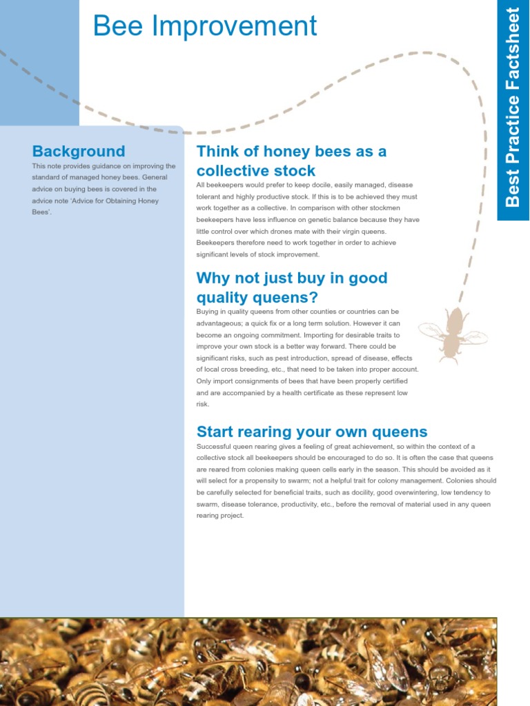 Best Practices for Queen Bee Rearing | PDF | Beekeeping | Honey Bee