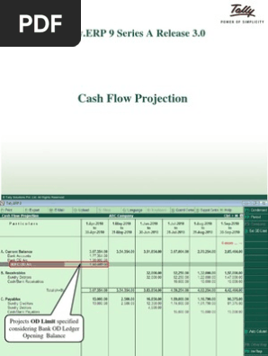 Cash Flow Projection