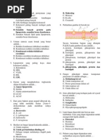 Download SOAL-SOAL BIOKIMIA by Nur Sastikawati SN146664193 doc pdf