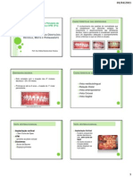 Características da Oclusão nas dentições-Aula 3 (COM ANOTAÇÕES)