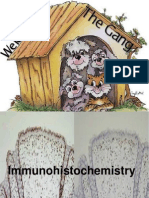 Immuno His To Chemistry