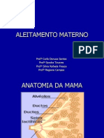 Aleitamento Materno PDF