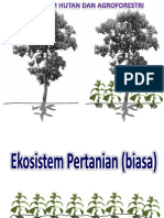 Agroekosistem (3)