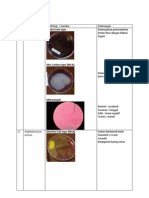 Tugas Mikrobiologi