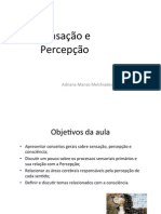 Sensação e Percepção: Entendendo os Sentidos