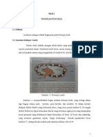 Bed Side Teaching Limfoma Malignum PDF