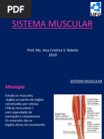 Aula Anatomia Sistema Muscular
