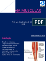 Aula Anatomia Sistema Muscular