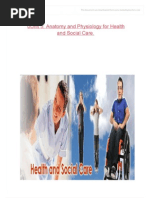 Download Unit 5 Anatomy and Physiology in Health and Social Care by murdatwotimes SN146736744 doc pdf